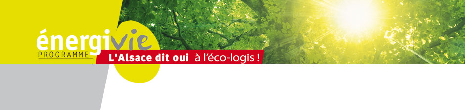 &eacute;nergivie 2008